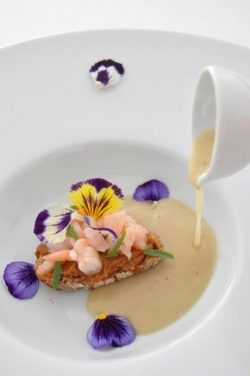 Foto formacion decorar plato fish solutions