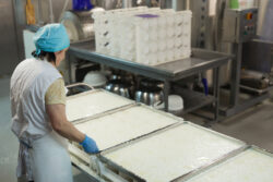 Foto formacion conservacion pescado y marisco fish solutions pasteurizacion surimi