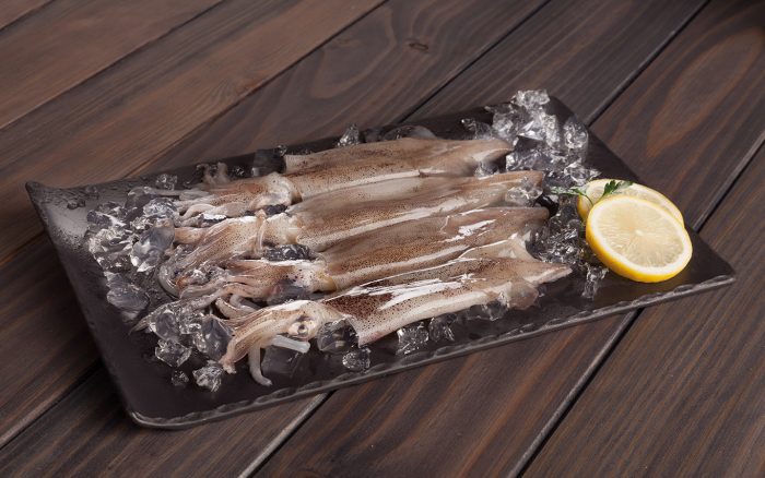 calamar patagonico entero fish solutions para hosteleria