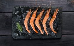 foto gamba blanca fish solutions