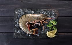 Foto langostino jumbo para hosteleria fish solutions