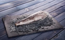 Merluza del cabo HGT fish solutions para hosteleria