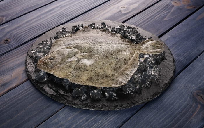 Rodaballo entero eviscerado Pescanova Fish Solutions