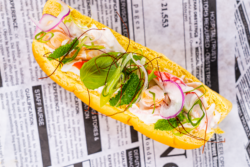 receta de fresh roll fish solutions