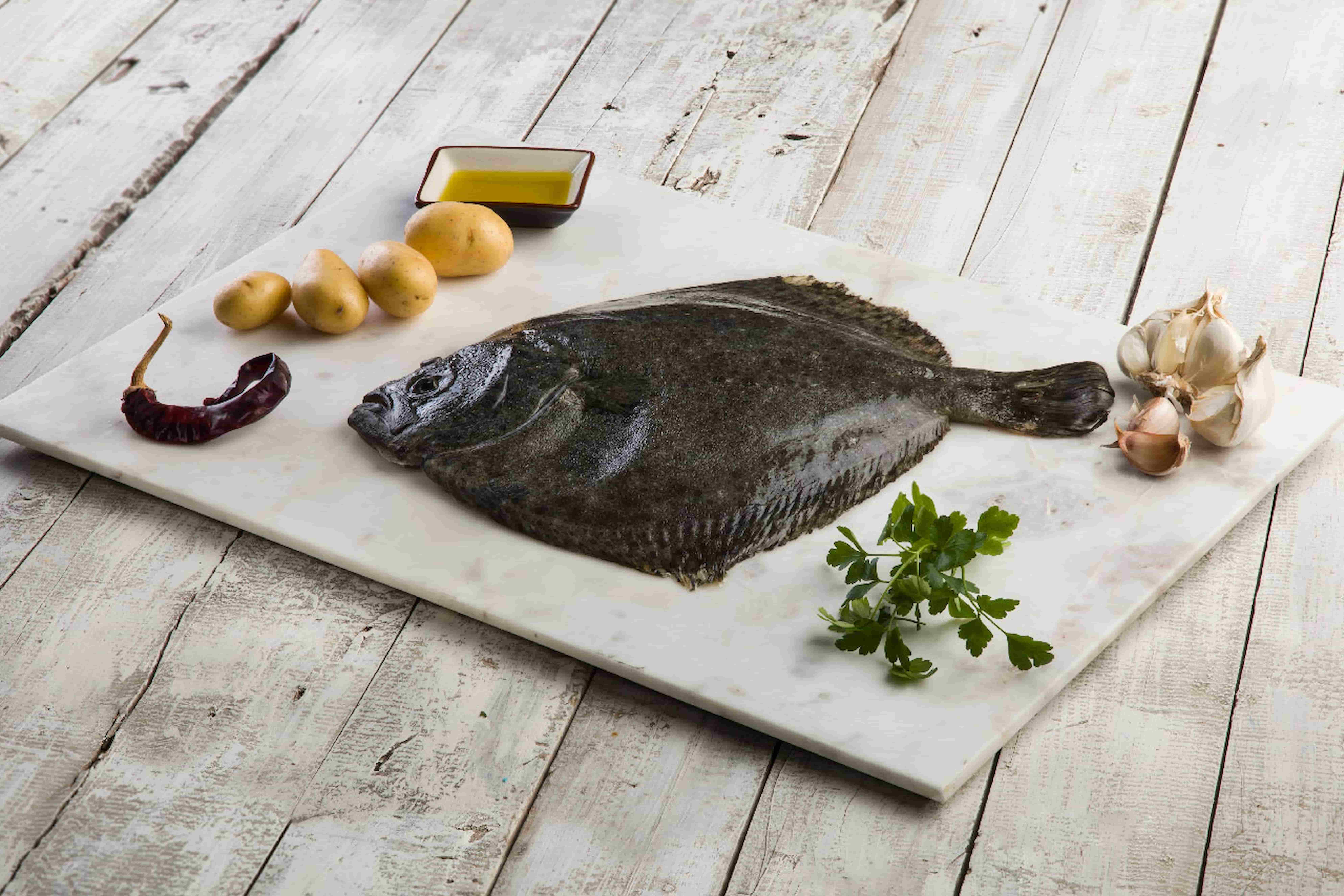 Foto formacion partes y usos del rodaballo fish solutions