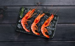 Foto alistado fish solutions
