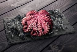 pulpo entero en flor cocido en su propio jugo fish solutions para hosteleria