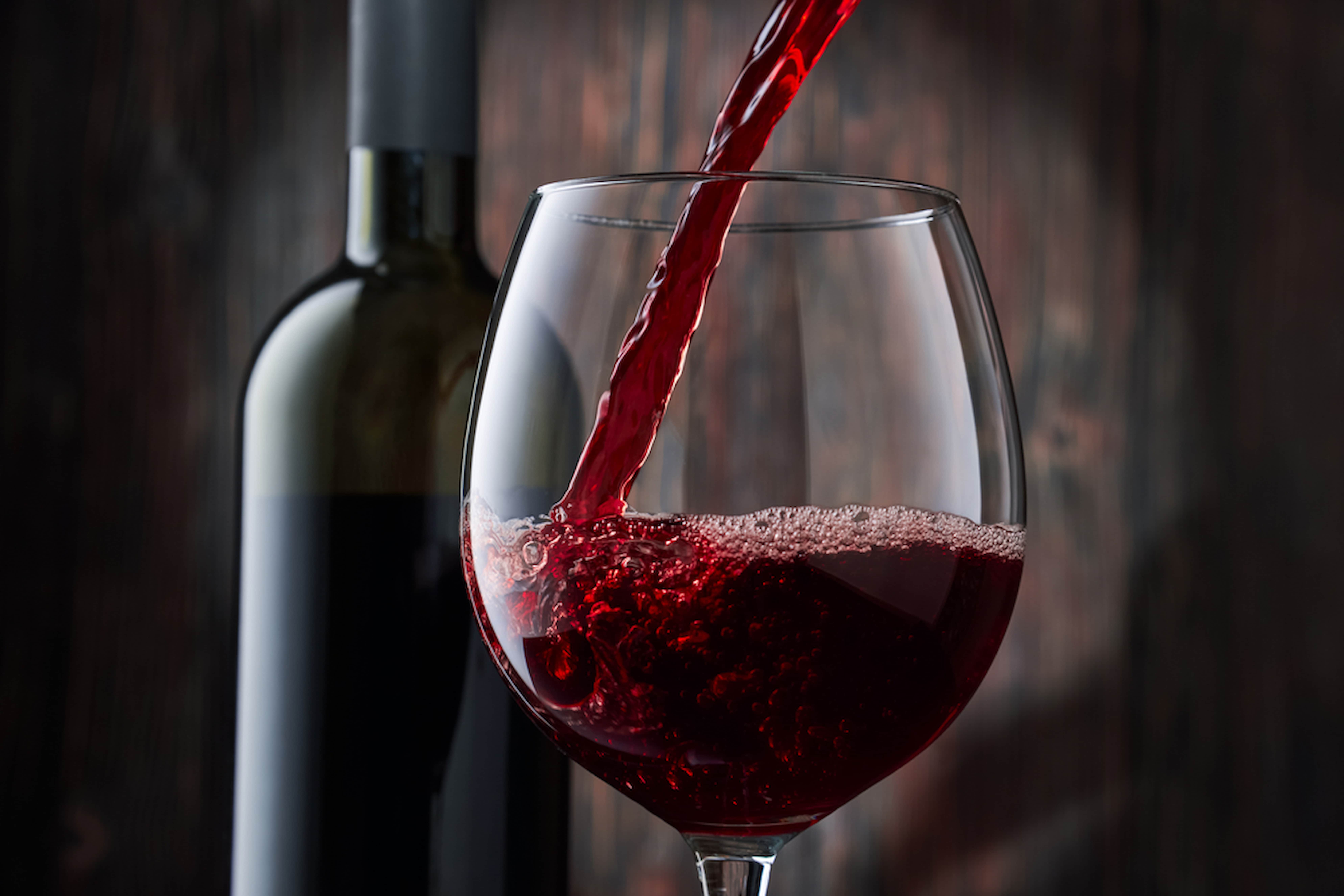 Foto formacion vinos fish solutions