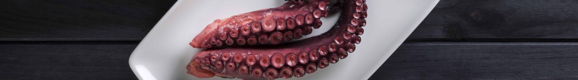 2 patas de pulpo pequeñas cocidas en su propio jugo fish solutions para hosteleria