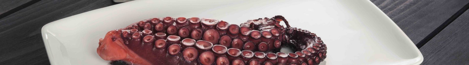 2 patas de pulpo pequeñas cocidas en su propio jugo fish solutions para hosteleria