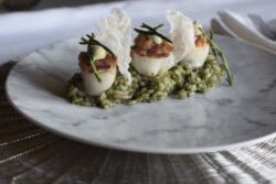 foto receta calamares rellenos fish solutions