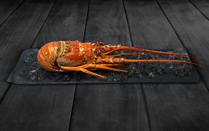 Langosta de Cuba cocida pescanova fish solutions producto