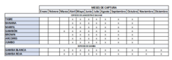 Calendarios meses de captura del marisco - pescanova fish solutions