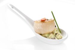 foto formación amuse bouche pescanova fish solutions