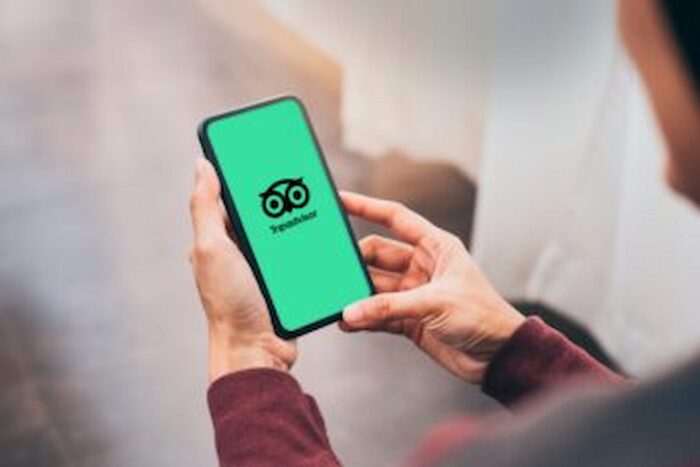 formacion tripadvisor fish solutions