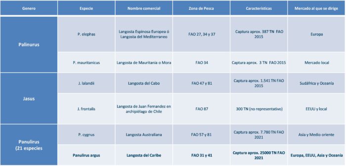 Foto Formación Grafico tipos de langostas Pescanova Fish Solutions